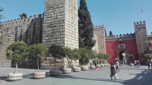Maceteros que se ha instalado en el entorno del Alcázar