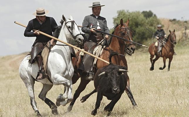 El homenaje que hubiese deseado Juan Belmonte