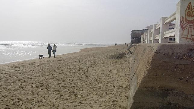 La invasión de medusas por el cambio climático podría llevar al cierre de playas