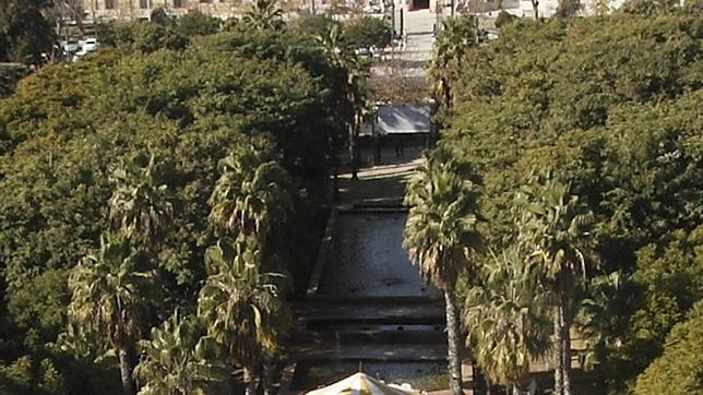 Tala de árboles en los Jardines del Prado