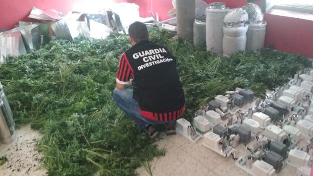 Un agente de la guardia civil durante la «Operación Hierbabuena»
