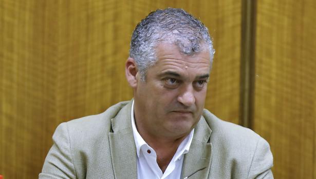 El consejero de Empleo, Javier Carnero, en el Parlamento