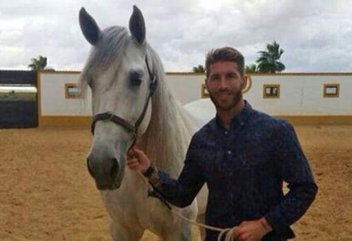 Un caballo del futbolista del Real Madrid Sergio Ramos ...