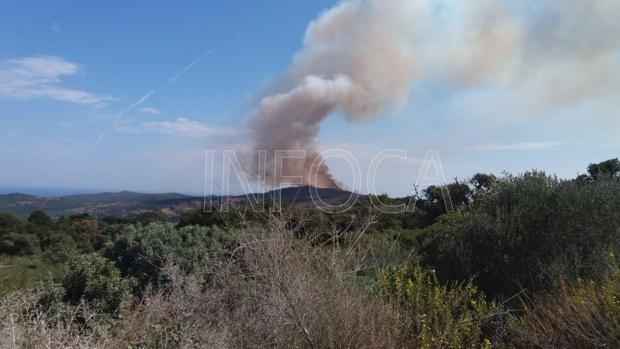 Imagen del Infoca en la que se ve la columna de humo de este incendio.