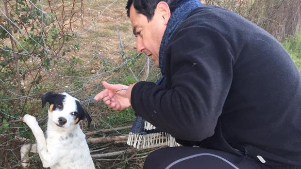 Juanma, durante el rescate al perro atrapado en un lazo de furtivos