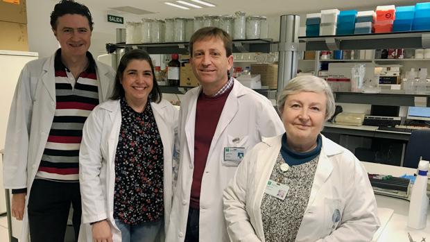Centros para adelgazar en malaga