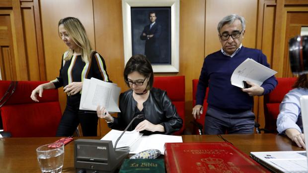 La alcaldesa de Córdoba, Isabel Ambrosio, en un Pleno municipal