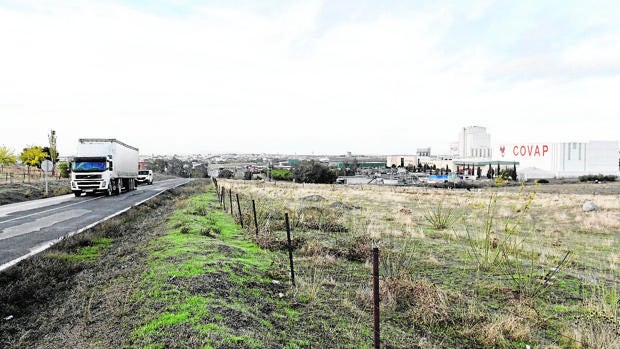 Suelos donde irá el polígono Dehesa Boyal, el más grande de la comarca