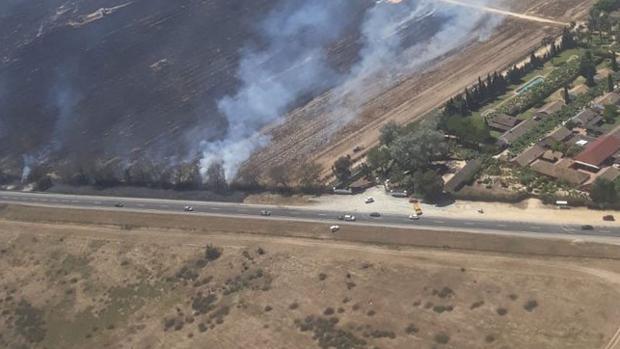 El incendio en Almonte