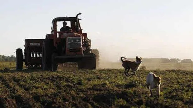 Un agricultor, en plena faena laboral con su tractor