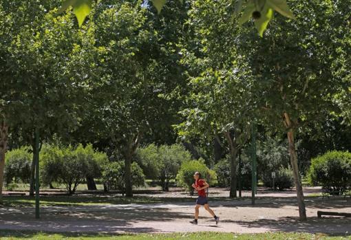 Parque Cruz Conde y su circuito de footing
