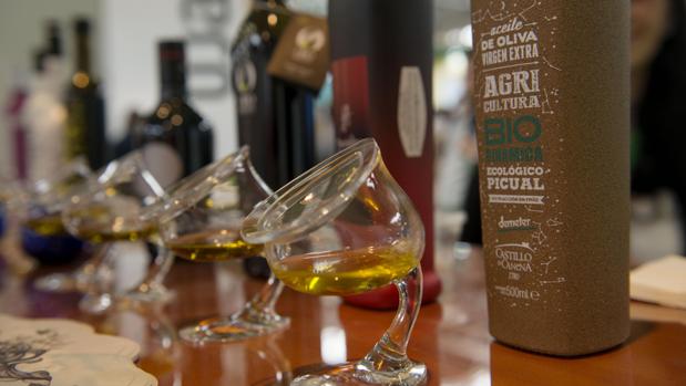 Vasos especialmente diseñados para la cata de aceite de oliva