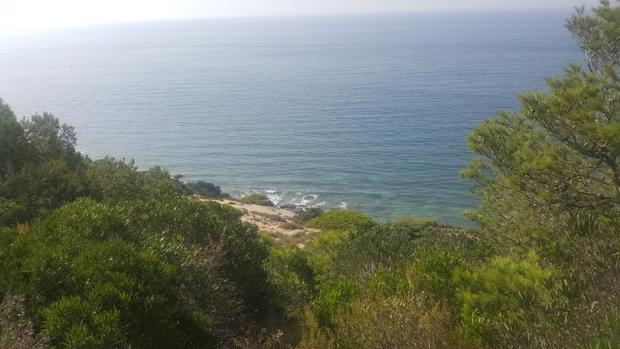 Vista de los acantilados de Barbate desde la Torre del Tajo
