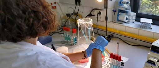 Una técnico del laboratorio de Sevilla analizando muestras