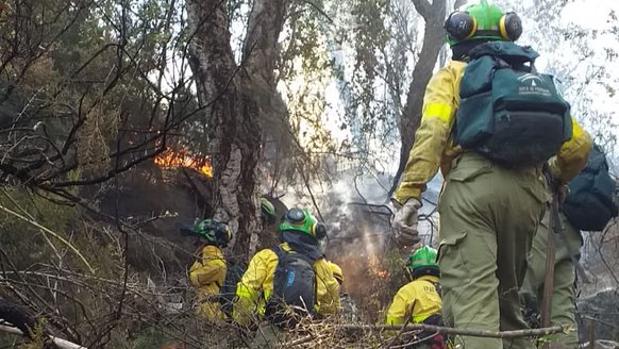 Efectivos del Infoca actuando en el incendio de Estepona