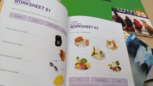Imagen de uno de los libros con las actividades para refozar los contenidos