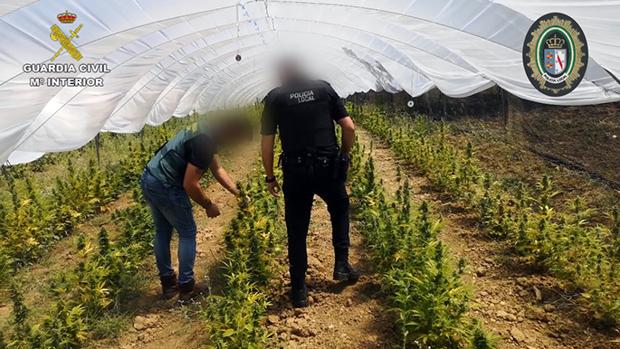 Agentes de la Guardia Civil y de la Policía Local en la plantación
