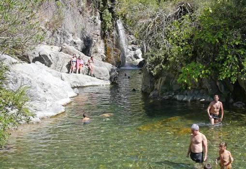 Flaque de gouttière