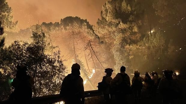Investigan el doble foco del origen del fuego de Sierra Bermeja en Málaga,  que ha desalojado a 600 vecinos