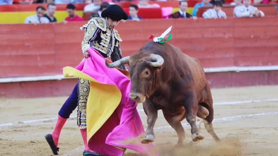 Sebastián Castella