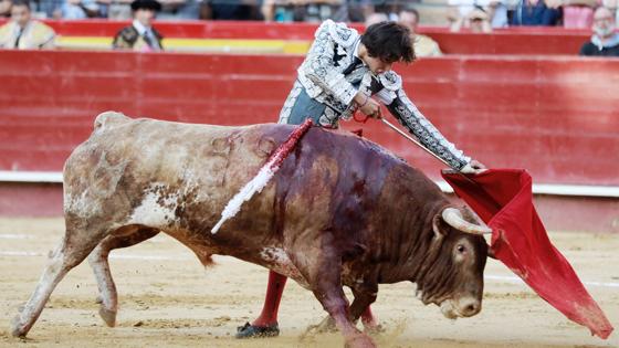 Roca Rey