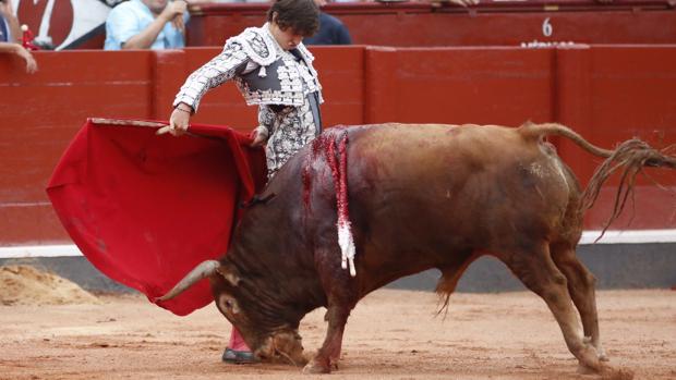 Roca Rey, por bernadinas al tercero de Garcigrande, Capitán de nombre