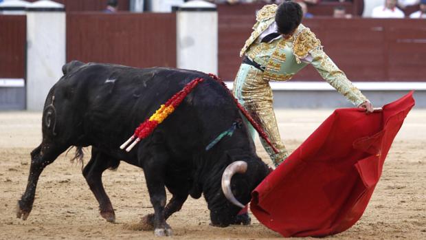 Francisco de Manuel, al natural con el tercer novillo