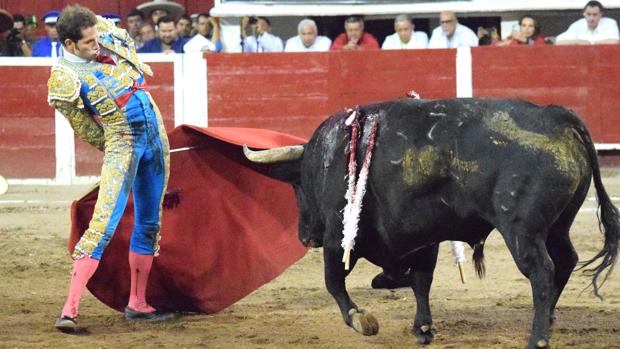 Arturo Saldívar, con el toro «Amor Infinito»