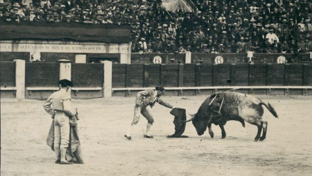 Domingo Dominguín, pasando de muleta en la plaza de toros de Madrid