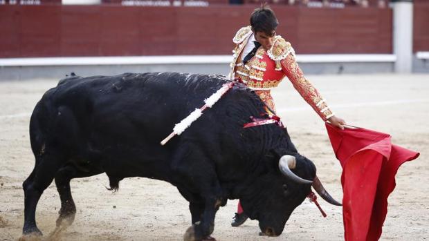 López Chaves, en un natural al toro de Cuadri