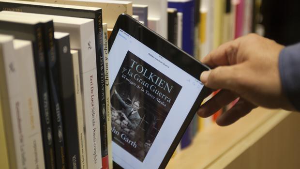 Con los presupuestos aún sin aprobar, el libro digital es el que más sufre