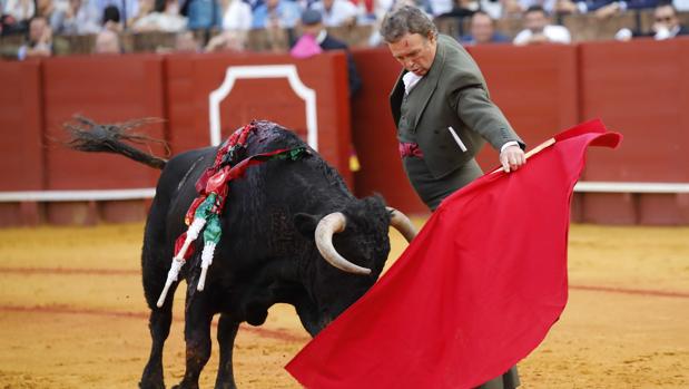 Pepe Luis Vázquez, durante un natural el pasado 12 de octubre en la Maestranza