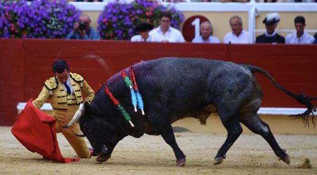 El torero peruano reaparecerá el próximo sábado tras la cornada de Bayona