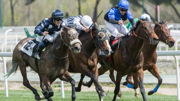 Carreras de caballos en el Hipódromo de la Zarzuela