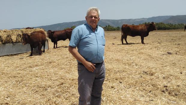 Luis Felipe Cervera, presidente de la Asociación Nacional de Criadores de Ganado Selecto de Raza Retinta