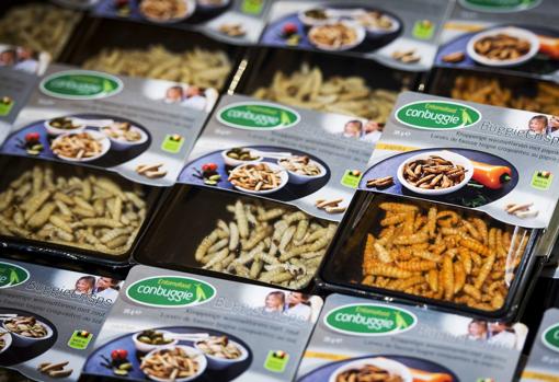 Aperitivos a base de larvas de insectos en un supermercado de Holanda