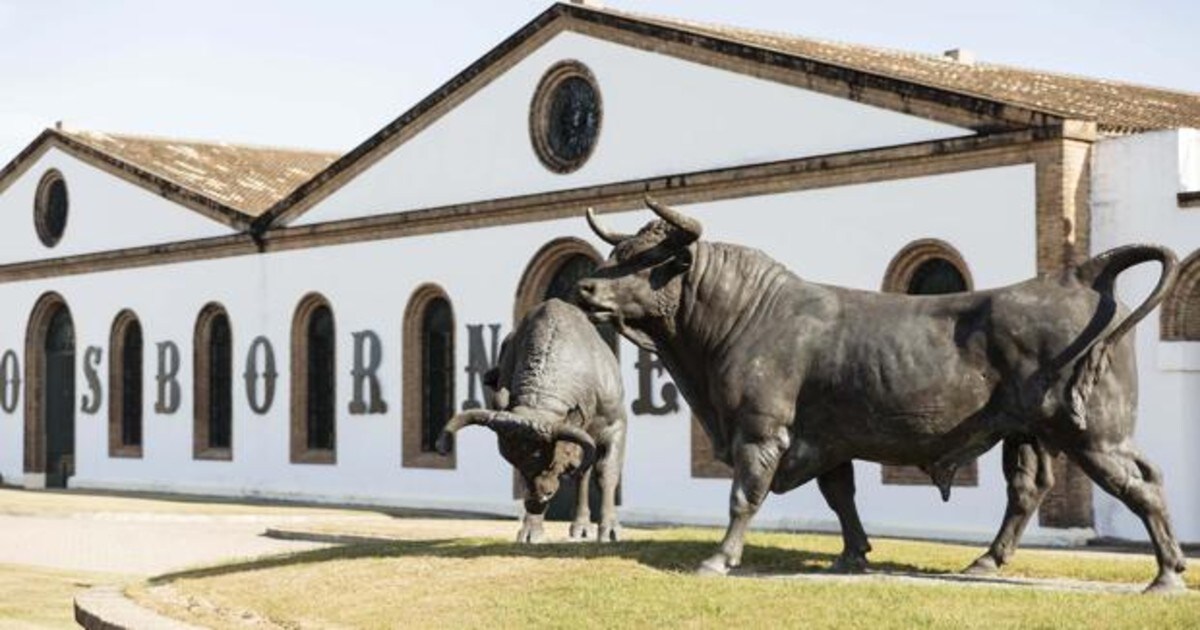 Osborne Amplia La Capacidad De Su Bodega De Brandies El Tiro De El Puerto De Santa Maria