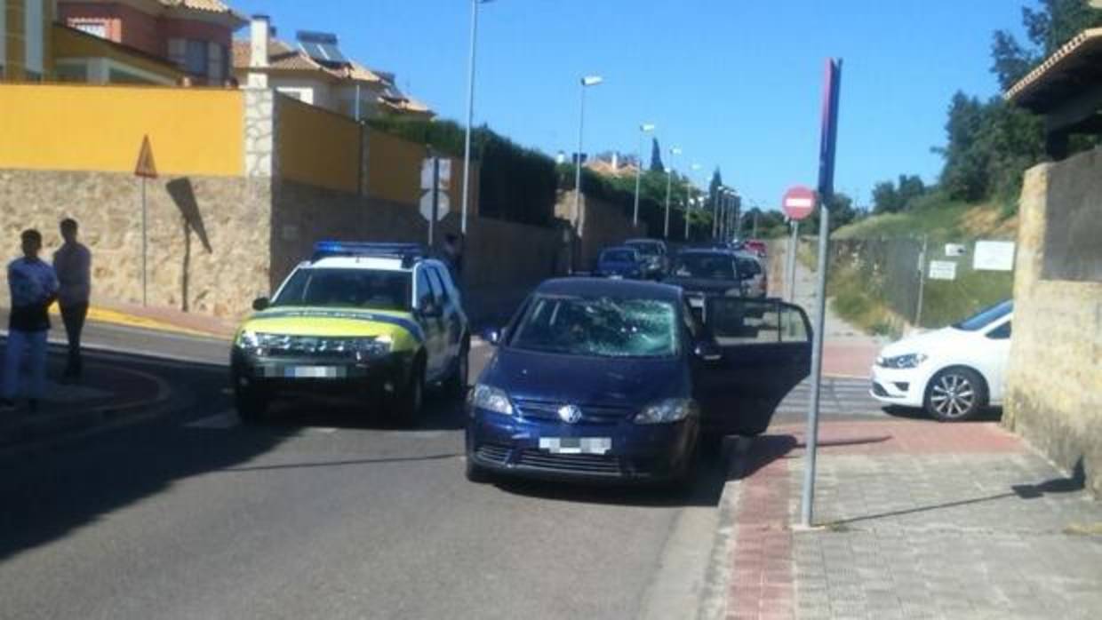 Follar gratis en las palmas Follar gratis en las palmas