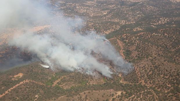 Imagen del incendio en el paraje Vega del Trabuco