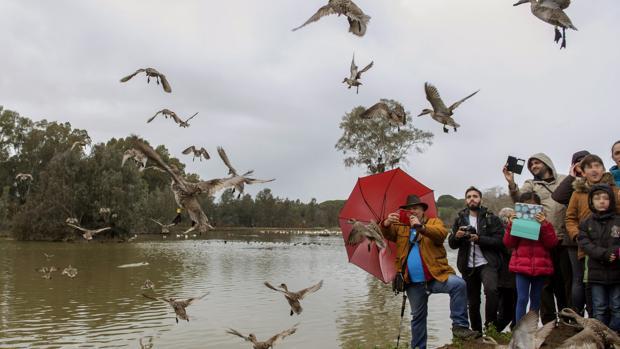 Avistamiento en La Cañada de los Pájaros
