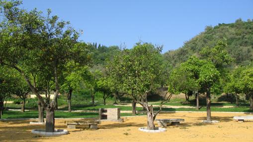 Zona de barbacoas y naranjos