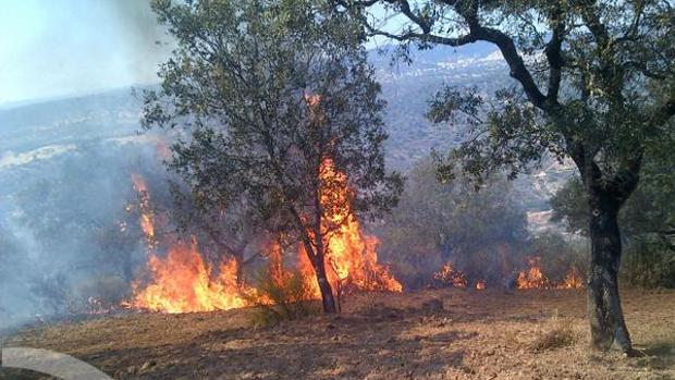 Llamas en del incendio de El Ronquillo, este fin de semana pasado