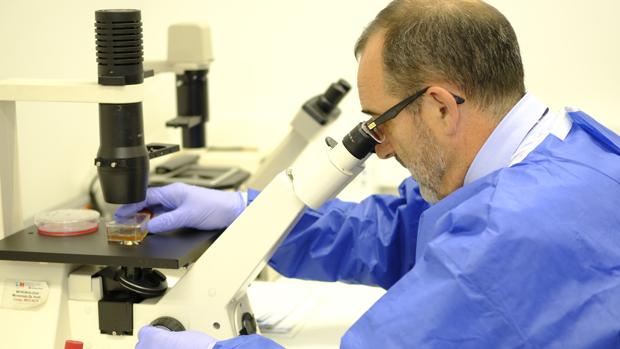 Virus del ébola