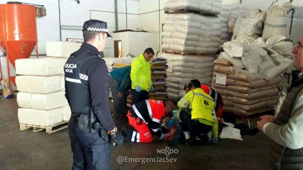 Los servicios sanitarios atendiendo al herido