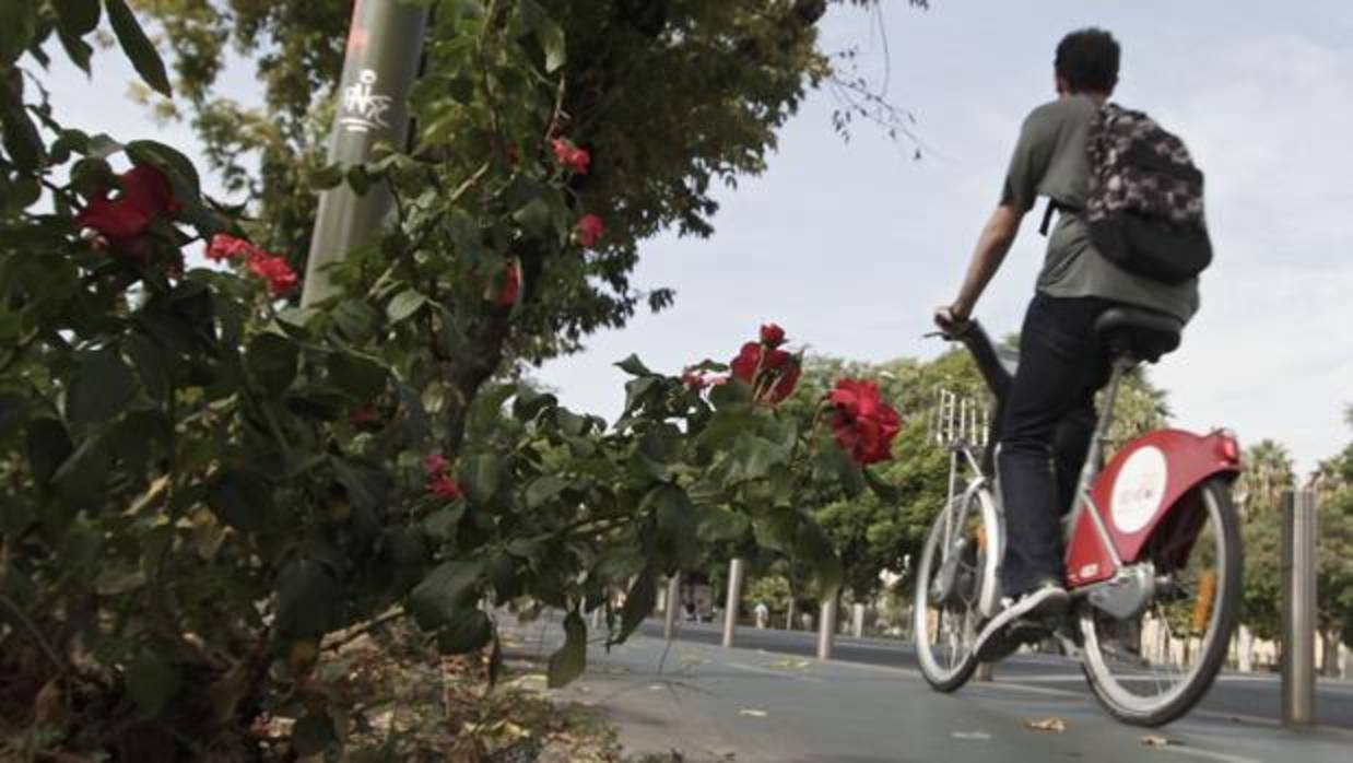 affittare biciclette a siviglia