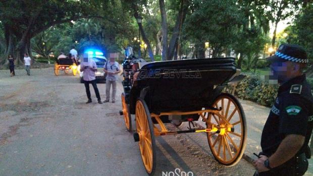 Imagen de un cochero de caballo, junto a la Catedral de Sevilla
