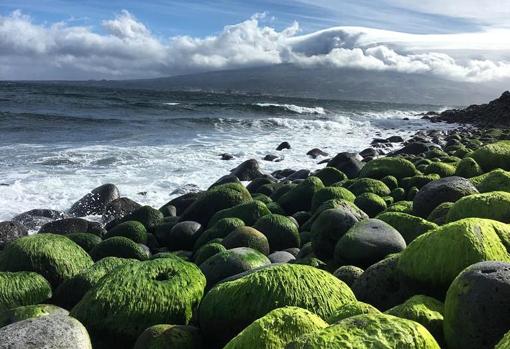 Madeira, lugar en el que se encuentra la fotógrafa en estos momentos
