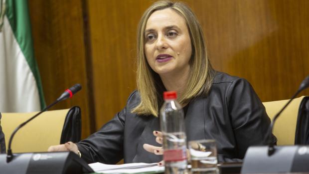 La consejera de Fomento, Marifran Carazo