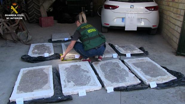 Una agente de la Guardia Civil, con algunas de las piezas intervenidas