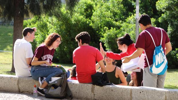 Estudiantes de Selectividad en al campus de la UPO